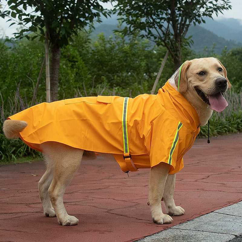 Dog Raincoat Durbin Golden Retriever Labrador Poncho Medium Large Dog Husky Rainy Days Waterproof Pet Dog Clothes
