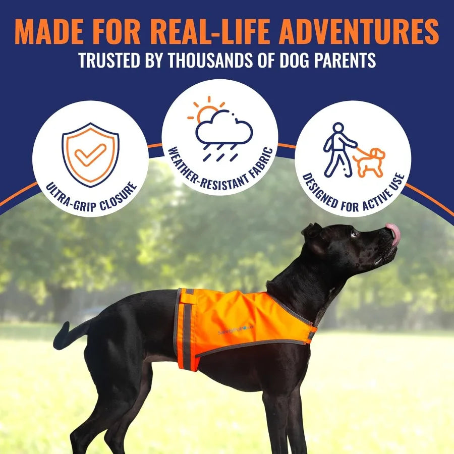 Blaze Orange Dog Vest Lite Edition: High Visibility Reflective Jacket with Mid Back Coverage for Hunting and Outdoor Activities